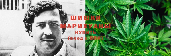 сатива Балабаново