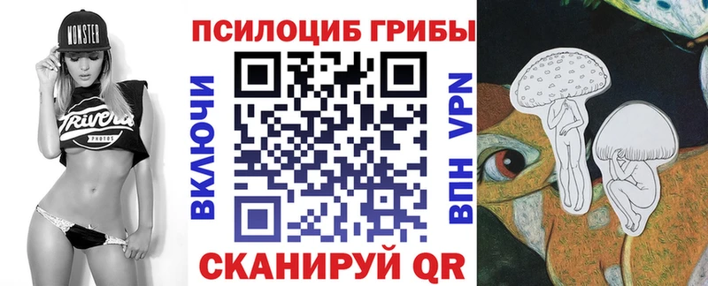 Псилоцибиновые грибы мицелий  Губкинский 